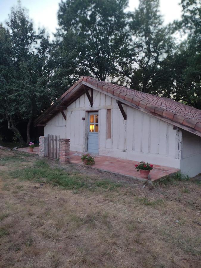 Maisonnette Vue Sur Foret Campagne  Zewnętrze zdjęcie